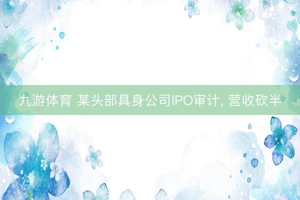 九游体育 某头部具身公司IPO审计， 营收砍半