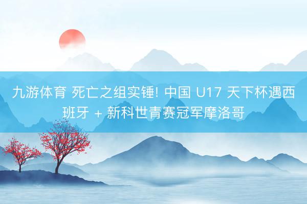 九游体育 死亡之组实锤! 中国 U17 天下杯遇西班牙 + 新科世青赛冠军摩洛哥