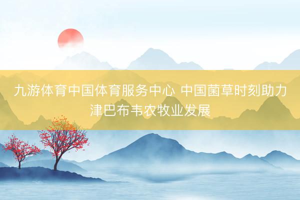 九游体育中国体育服务中心 中国菌草时刻助力津巴布韦农牧业发展