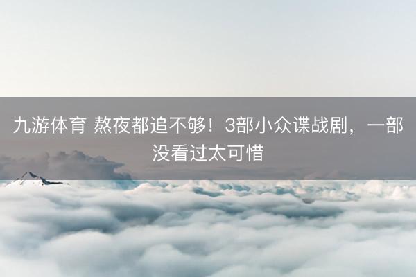 九游体育 熬夜都追不够！3部小众谍战剧，一部没看过太可惜